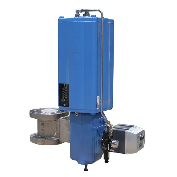 neles-e-series-flange